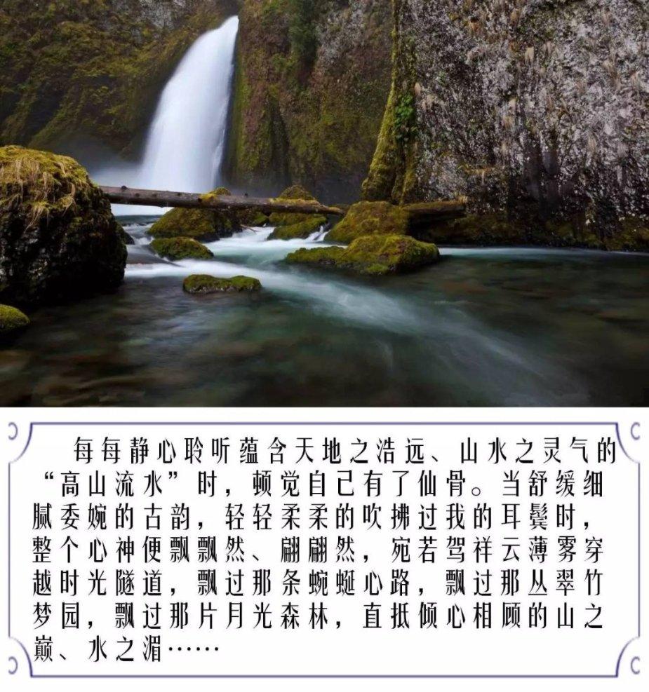 世界射箭锦标赛